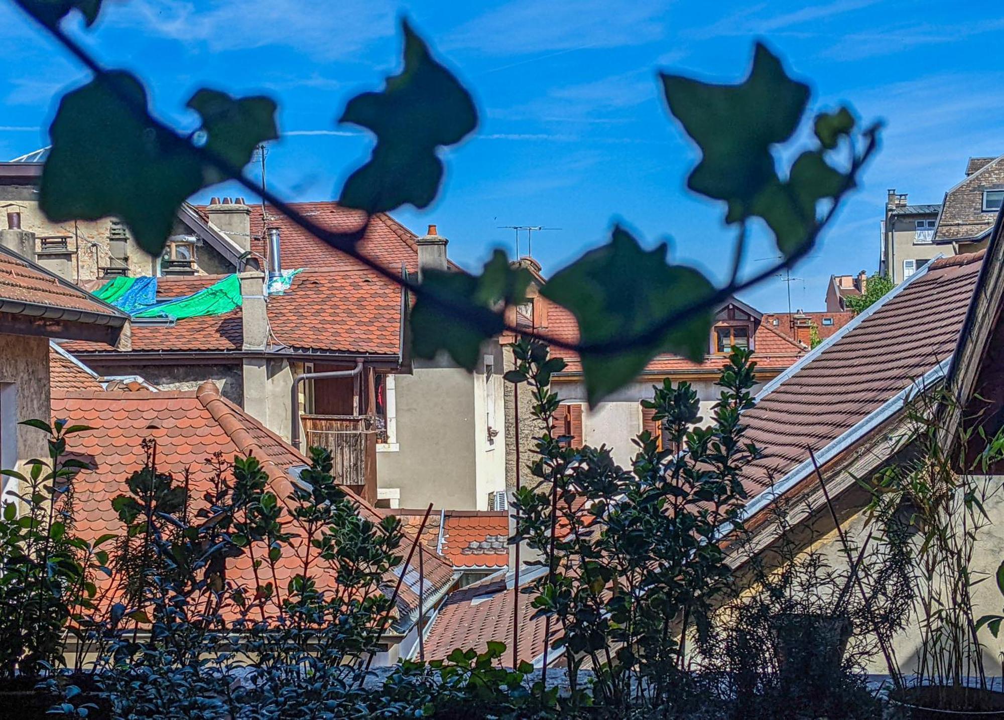 Bed and Breakfast Nid Douillet Аннесі Екстер'єр фото